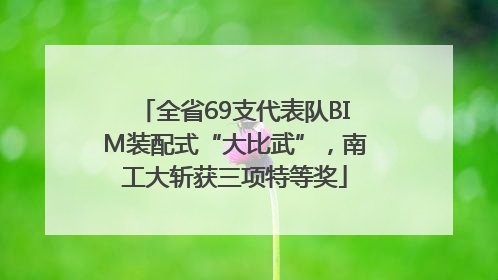 全省69支代表队BIM装配式“大比武”，南工大斩获三项特等奖