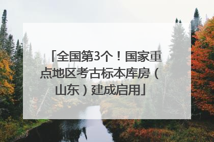 全国第3个！国家重点地区考古标本库房（山东）建成启用
