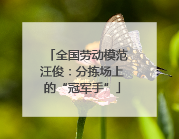 全国劳动模范汪俊：分拣场上的“冠军手”