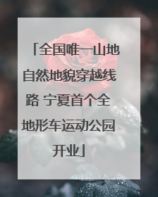 全国唯一山地自然地貌穿越线路 宁夏首个全地形车运动公园开业