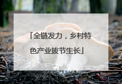全链发力，乡村特色产业拔节生长