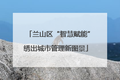 兰山区“智慧赋能”绣出城市管理新图景