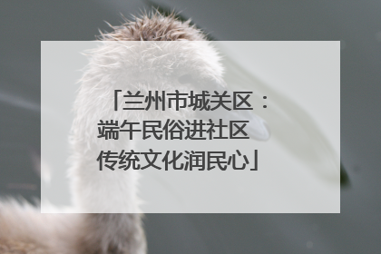 兰州市城关区：端午民俗进社区 传统文化润民心