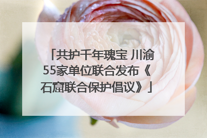 共护千年瑰宝 川渝55家单位联合发布《石窟联合保护倡议》
