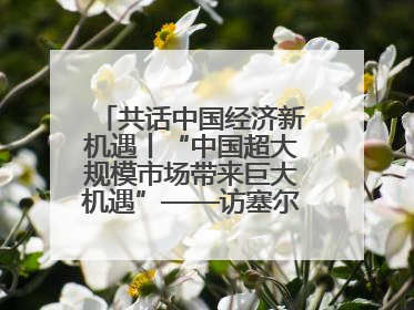 共话中国经济新机遇丨“中国超大规模市场带来巨大机遇”——访塞尔维亚经济部国务秘书尼科利奇
