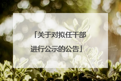 关于对拟任干部进行公示的公告