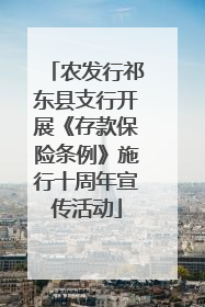 农发行祁东县支行开展《存款保险条例》施行十周年宣传活动