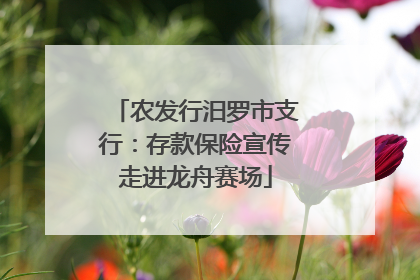 农发行汨罗市支行：存款保险宣传走进龙舟赛场