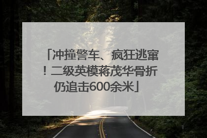 冲撞警车、疯狂逃窜！二级英模蒋茂华骨折仍追击600余米