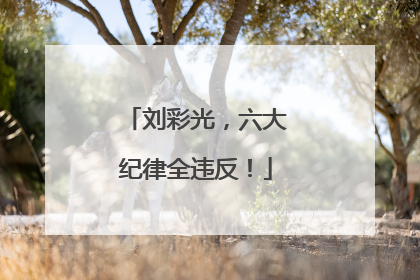 刘彩光，六大纪律全违反！