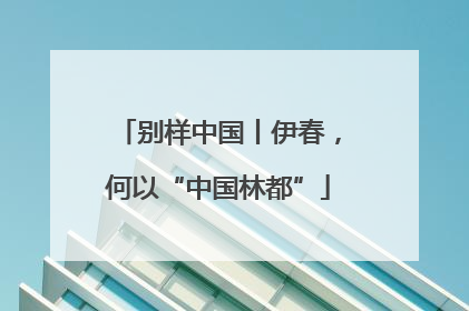 别样中国丨伊春，何以“中国林都”