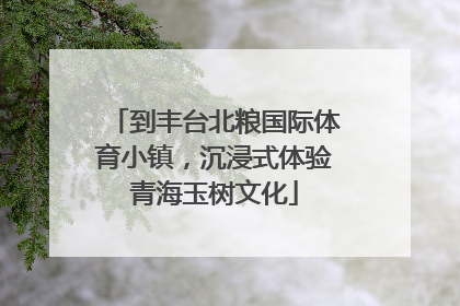到丰台北粮国际体育小镇，沉浸式体验青海玉树文化