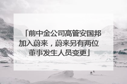 前中金公司高管安国邦加入蔚来，蔚来另有两位董事发生人员变更