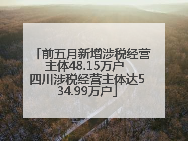 前五月新增涉税经营主体48.15万户 四川涉税经营主体达534.99万户