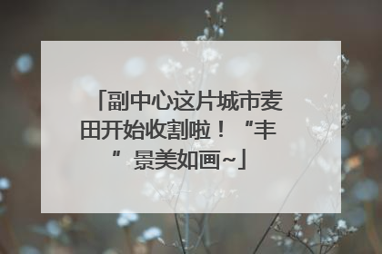 副中心这片城市麦田开始收割啦！“丰”景美如画~