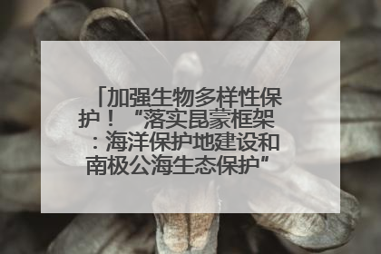 加强生物多样性保护！“落实昆蒙框架：海洋保护地建设和南极公海生态保护”主题论坛将举办