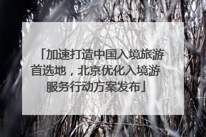 加速打造中国入境旅游首选地，北京优化入境游服务行动方案发布