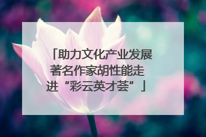 助力文化产业发展 著名作家胡性能走进“彩云英才荟”