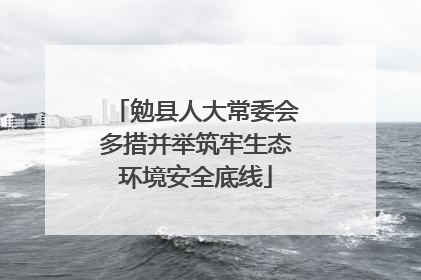 勉县人大常委会多措并举筑牢生态环境安全底线