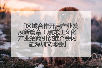 区域合作开启产业发展新篇章！黑龙江文化产业招商引资推介会闪耀深圳文博会
