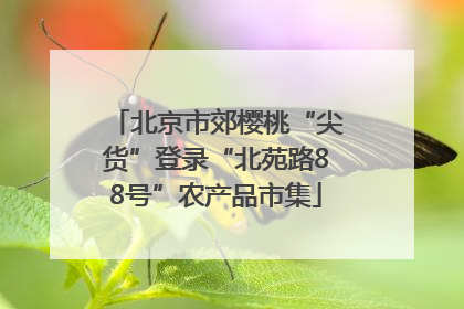 北京市郊樱桃“尖货”登录“北苑路88号”农产品市集