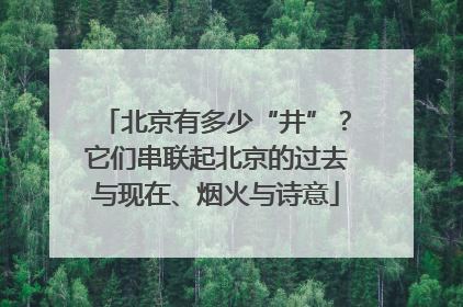 北京有多少“井”？它们串联起北京的过去与现在、烟火与诗意