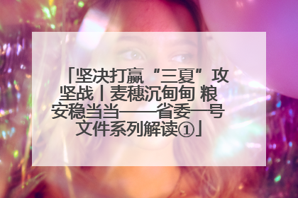 坚决打赢“三夏”攻坚战丨麦穗沉甸甸 粮安稳当当——省委一号文件系列解读①