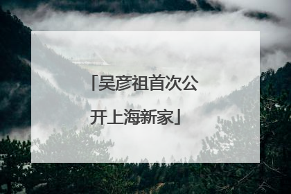 吴彦祖首次公开上海新家