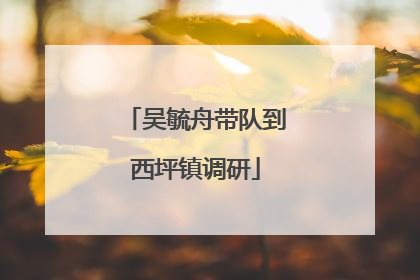 吴毓舟带队到西坪镇调研