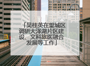 吴桂英在望城区调研大泽湖片区建设、文科旅医融合发展等工作