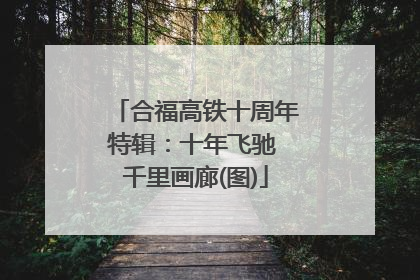 合福高铁十周年特辑：十年飞驰 千里画廊(图)