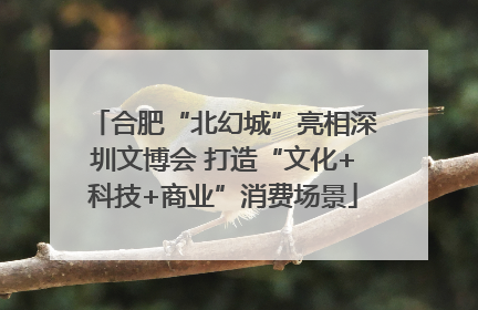合肥“北幻城”亮相深圳文博会 打造“文化+科技+商业”消费场景