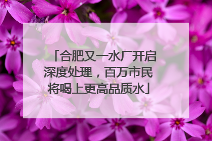 合肥又一水厂开启深度处理，百万市民将喝上更高品质水