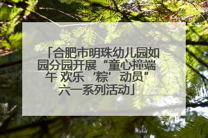 合肥市明珠幼儿园如园分园开展“童心撞端午 欢乐‘粽’动员”六一系列活动