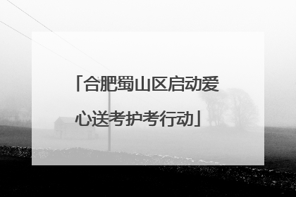 合肥蜀山区启动爱心送考护考行动