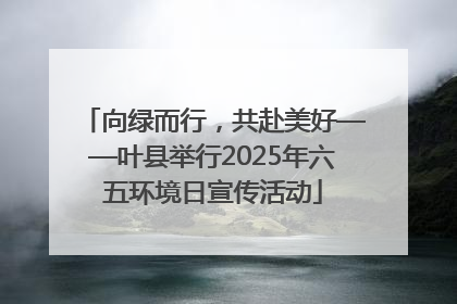向绿而行，共赴美好——叶县举行2025年六五环境日宣传活动