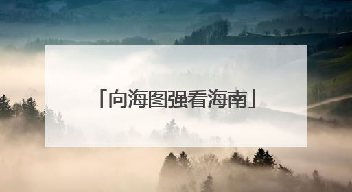 向海图强看海南