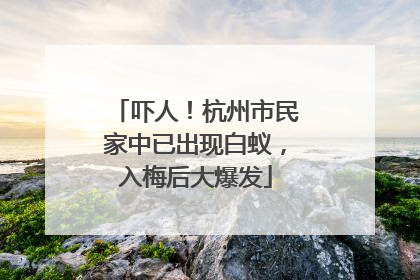 吓人！杭州市民家中已出现白蚁，入梅后大爆发