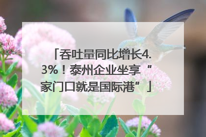 吞吐量同比增长4.3%！泰州企业坐享“家门口就是国际港”
