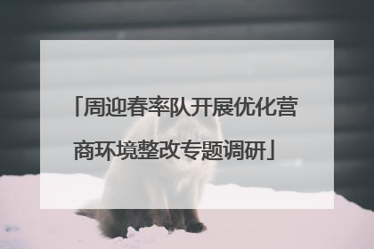 周迎春率队开展优化营商环境整改专题调研