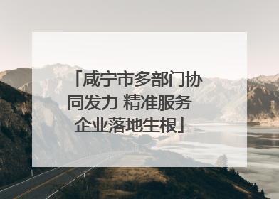 咸宁市多部门协同发力 精准服务企业落地生根
