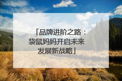 品牌进阶之路：袋鼠妈妈开启未来发展新战略
