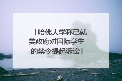哈佛大学称已就美政府对国际学生的禁令提起诉讼