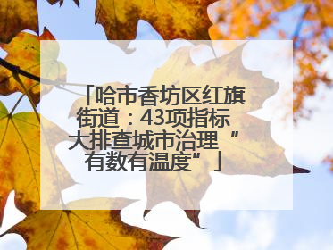 哈市香坊区红旗街道：43项指标大排查城市治理“有数有温度”