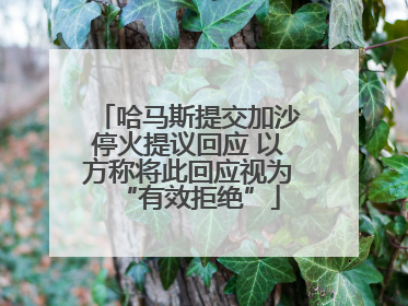 哈马斯提交加沙停火提议回应 以方称将此回应视为“有效拒绝”