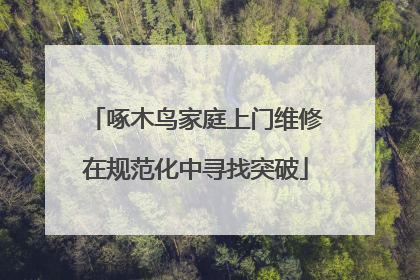 啄木鸟家庭上门维修在规范化中寻找突破