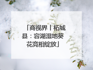 商视界丨柘城县：容湖湿地葵花竞相绽放