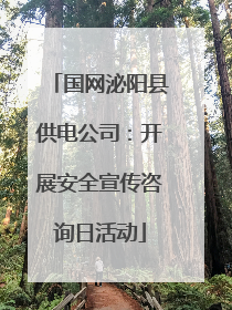 国网泌阳县供电公司：开展安全宣传咨询日活动