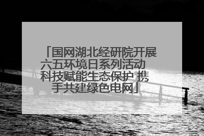 国网湖北经研院开展六五环境日系列活动 科技赋能生态保护 携手共建绿色电网