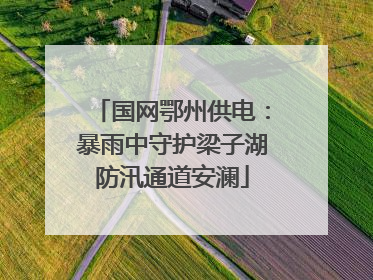 国网鄂州供电：暴雨中守护梁子湖防汛通道安澜